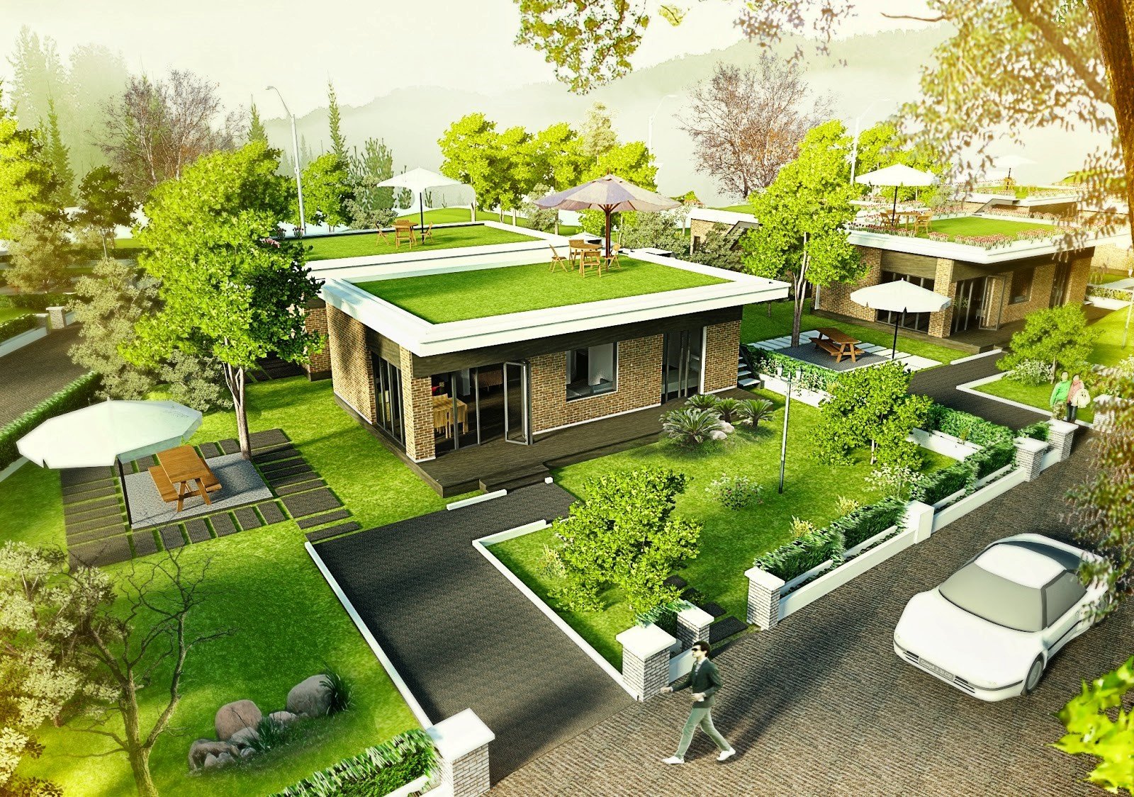 Mảng xanh sân sau căn nhà